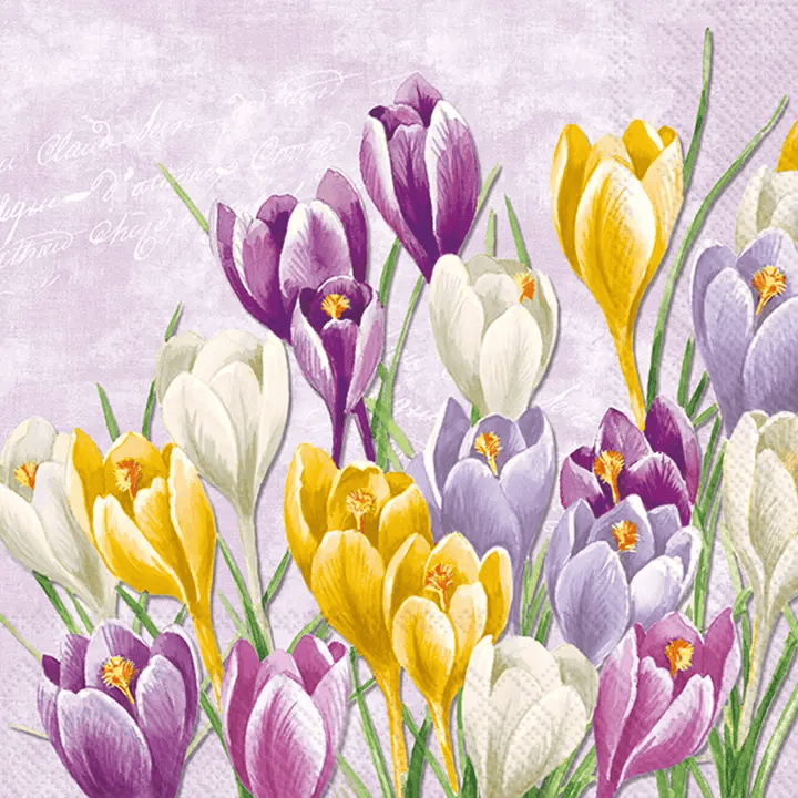 Blooming Crocus Cocktail Napkin - Shelburne Country Store
