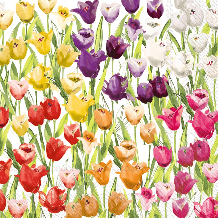 Tulipfield Paper Lunch Napkins - Shelburne Country Store
