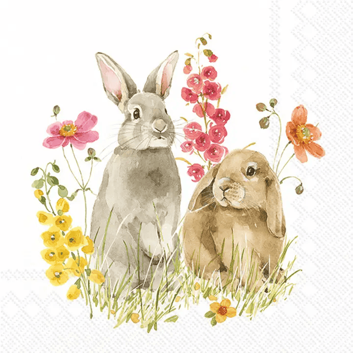 Hop On Spring Paper Lunch Napkins - Shelburne Country Store