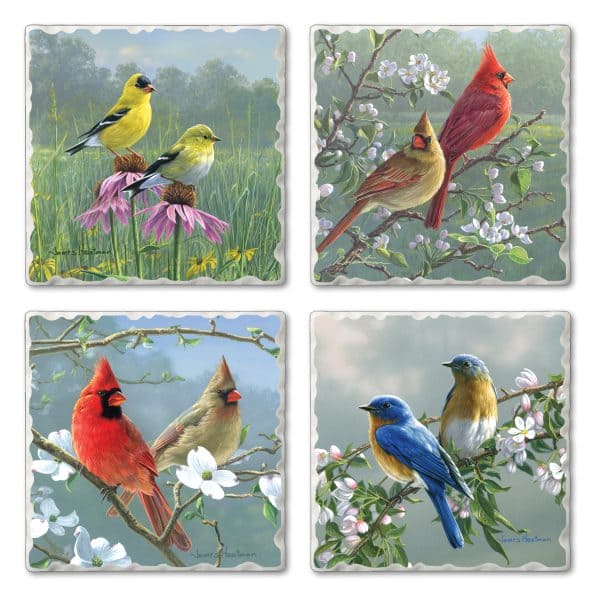 Beautiful Songbirds – Tumbled Tile Assorted Coaster 4 PK - Shelburne Country Store