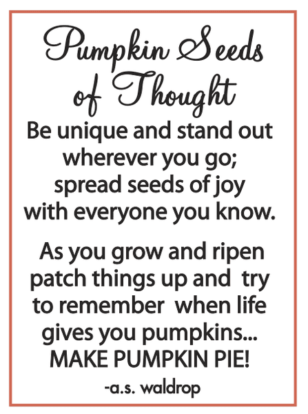 Pumpkin Charm - Shelburne Country Store