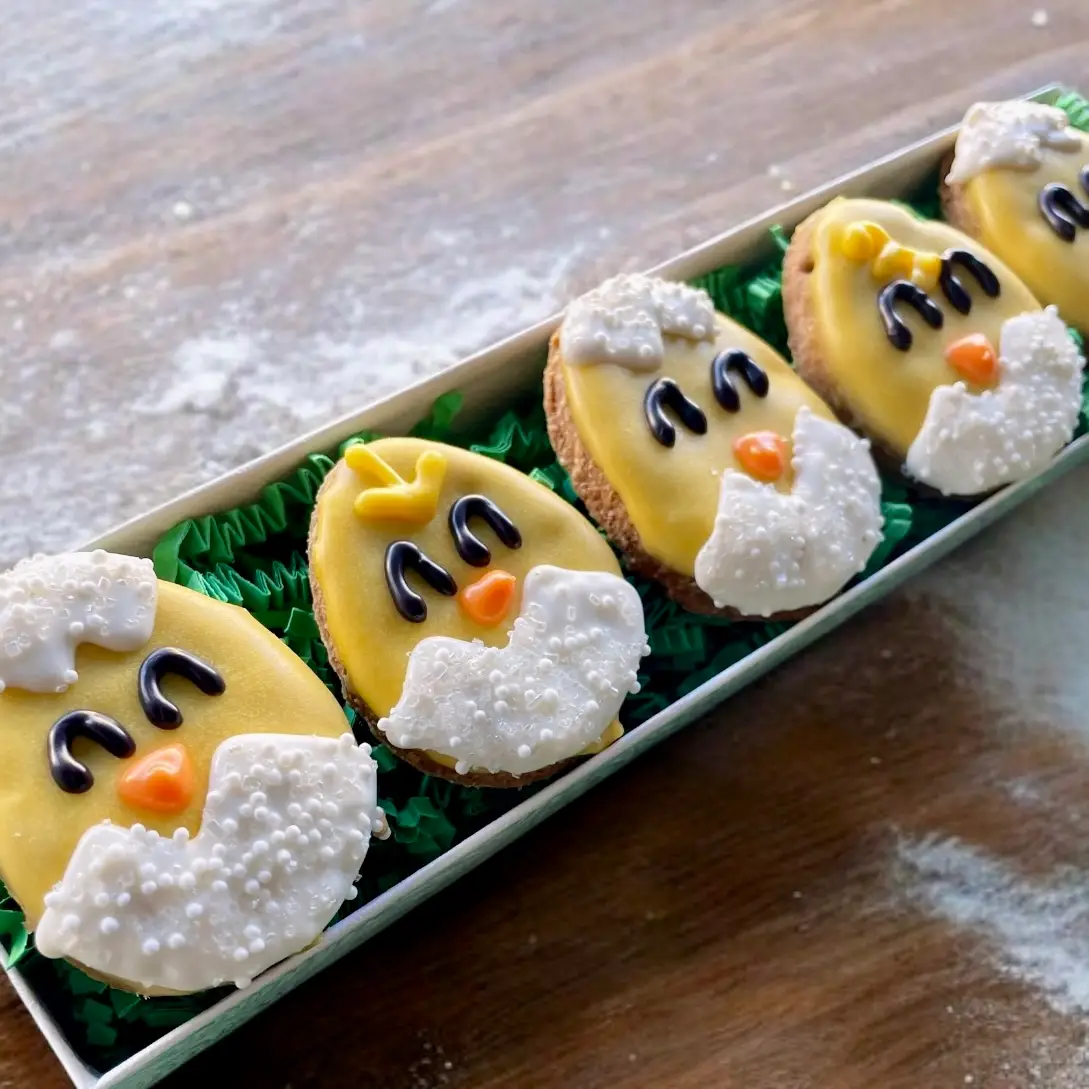 Mini Chick Dog Treat Gift Box - Shelburne Country Store