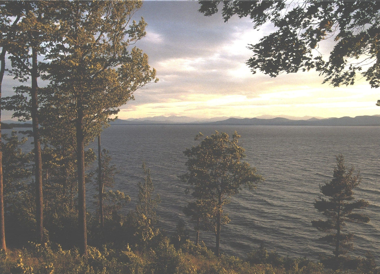 Note Card by Paul Boisvert - Summer Calm - Shelburne Country Store