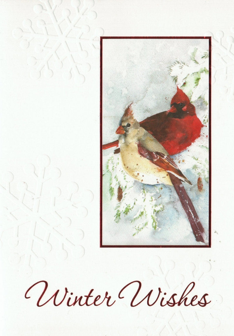 18 Count Luxury Favorites - Cardinals - Shelburne Country Store