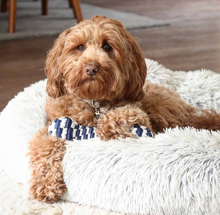 Tall Tails Braided Bone Toy, Navy - 9" - Shelburne Country Store