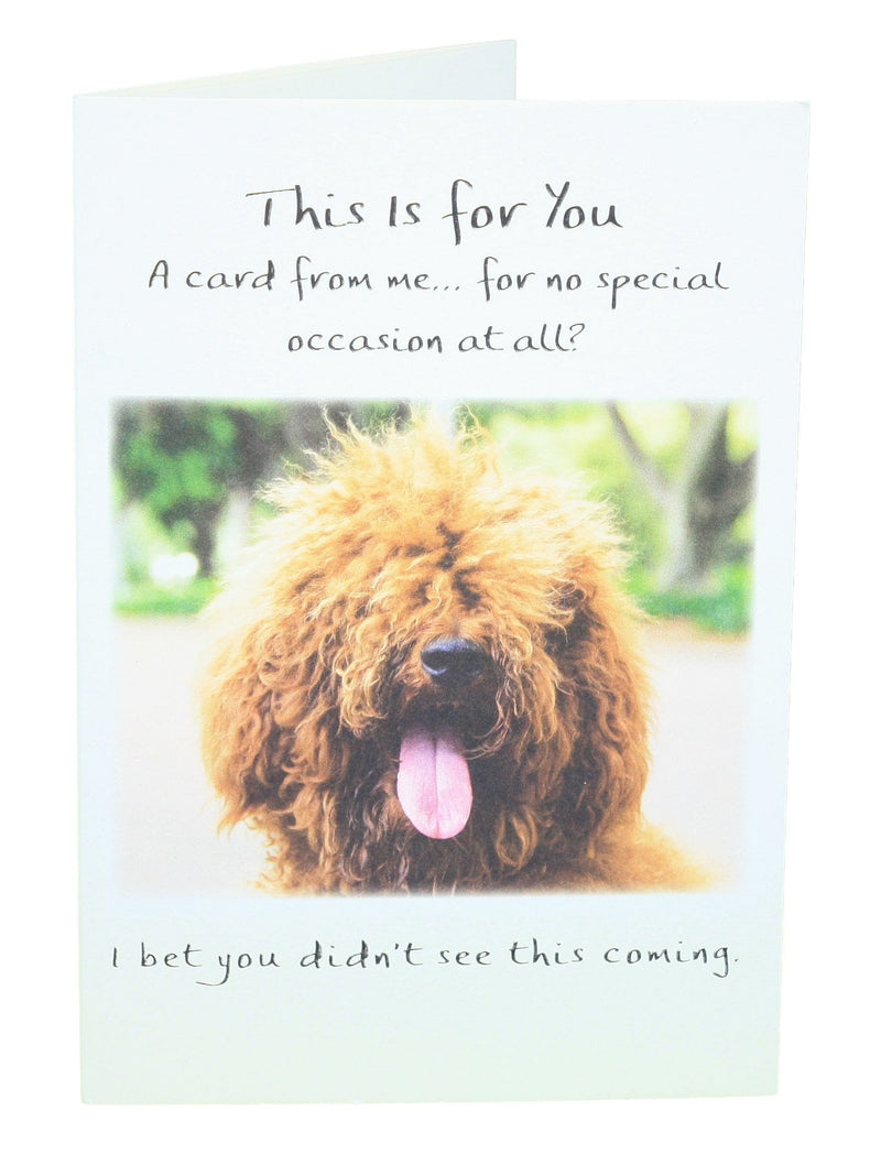 This is for you, a card from me .. for no special occasion at all - Shelburne Country Store