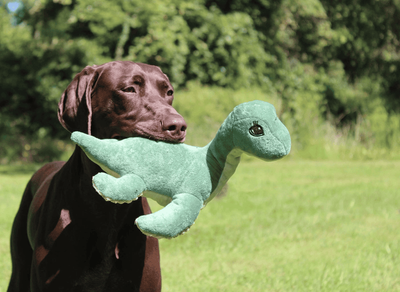 Plush Nessie with Squeaker Dog Toy - 13" - Shelburne Country Store