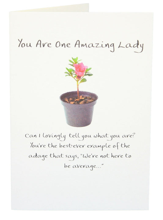 You are One Amazing Lady - Shelburne Country Store