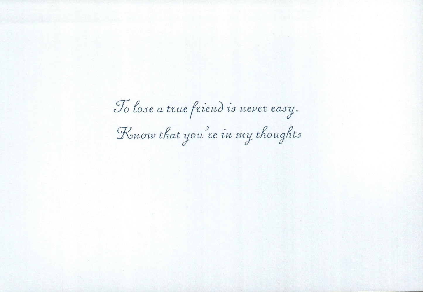 Sympathy Card - Cat In Window - Shelburne Country Store