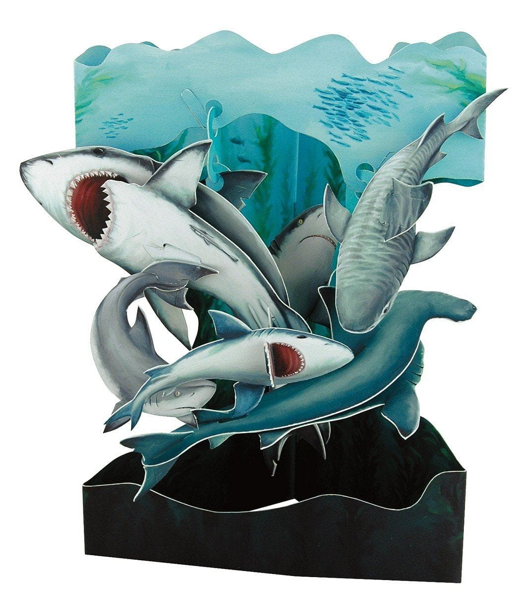 Shark - Swing Card - Shelburne Country Store