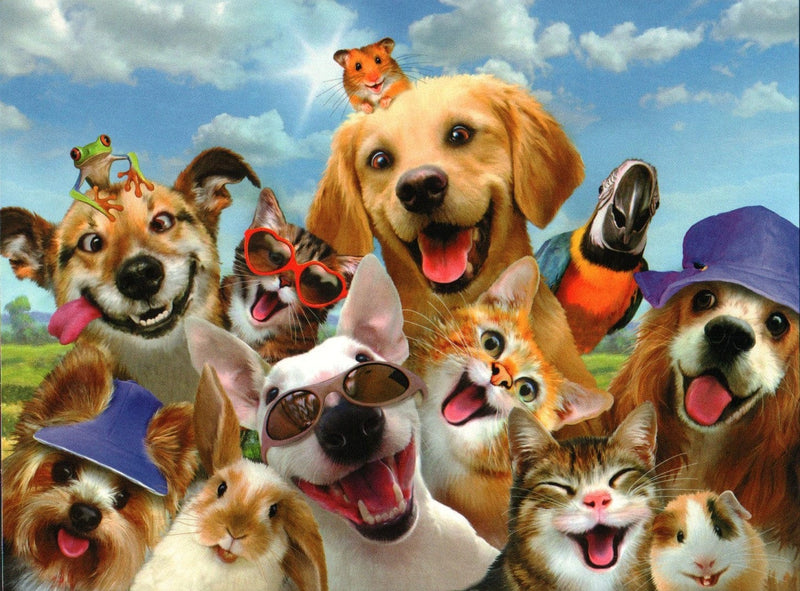 Pet Smiling Birthday Card - Shelburne Country Store