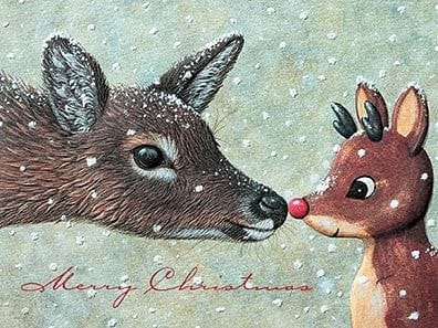 Nosey Deer III Christmas Petite Boxed Cards - Shelburne Country Store