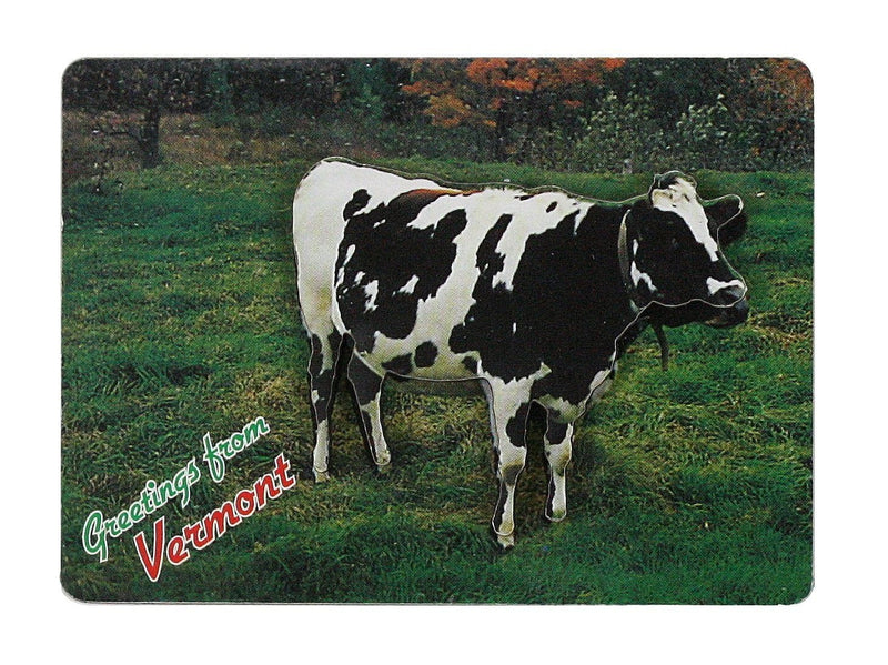 Greetings Vermont Magnet - Shelburne Country Store