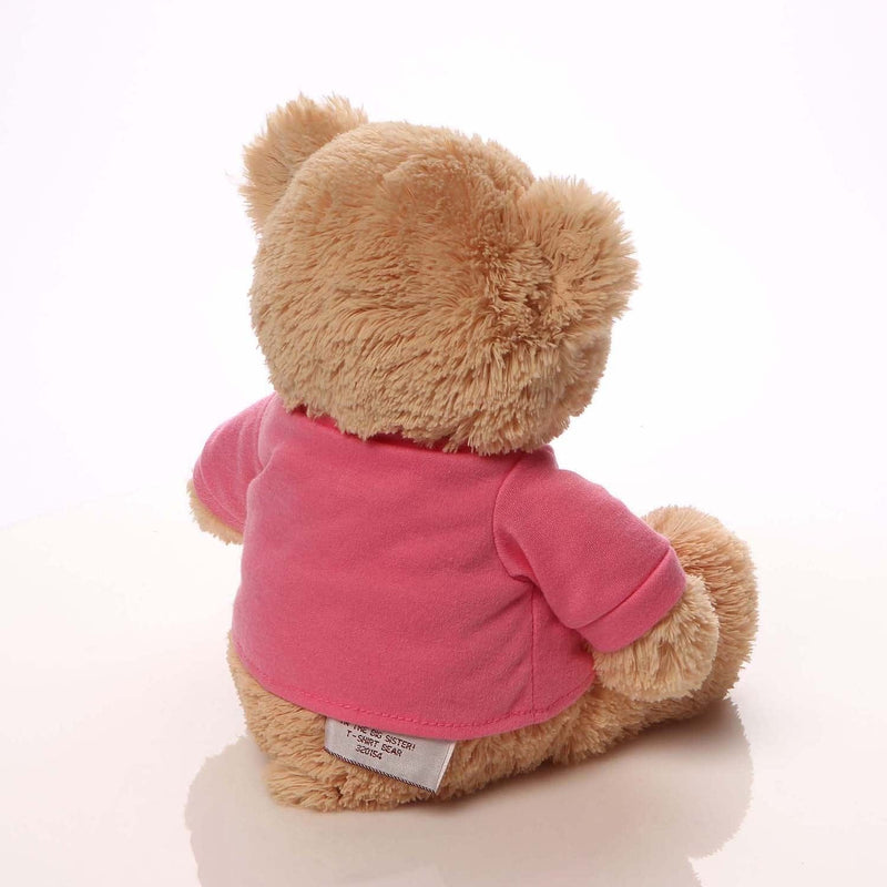 Gund T-Shirt Teddy Bear Stuffed Animal Plush - - Shelburne Country Store