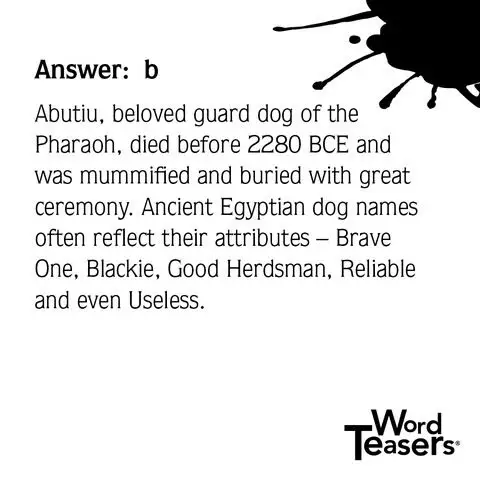 Word Teasers About Dogs - Shelburne Country Store