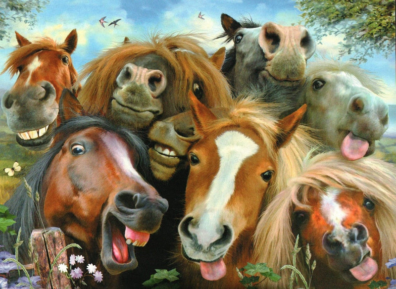 Funny Horses Birthday Card - Shelburne Country Store