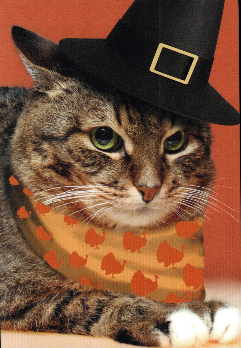 Pilgrim Cat Thanksgiving Card - Shelburne Country Store