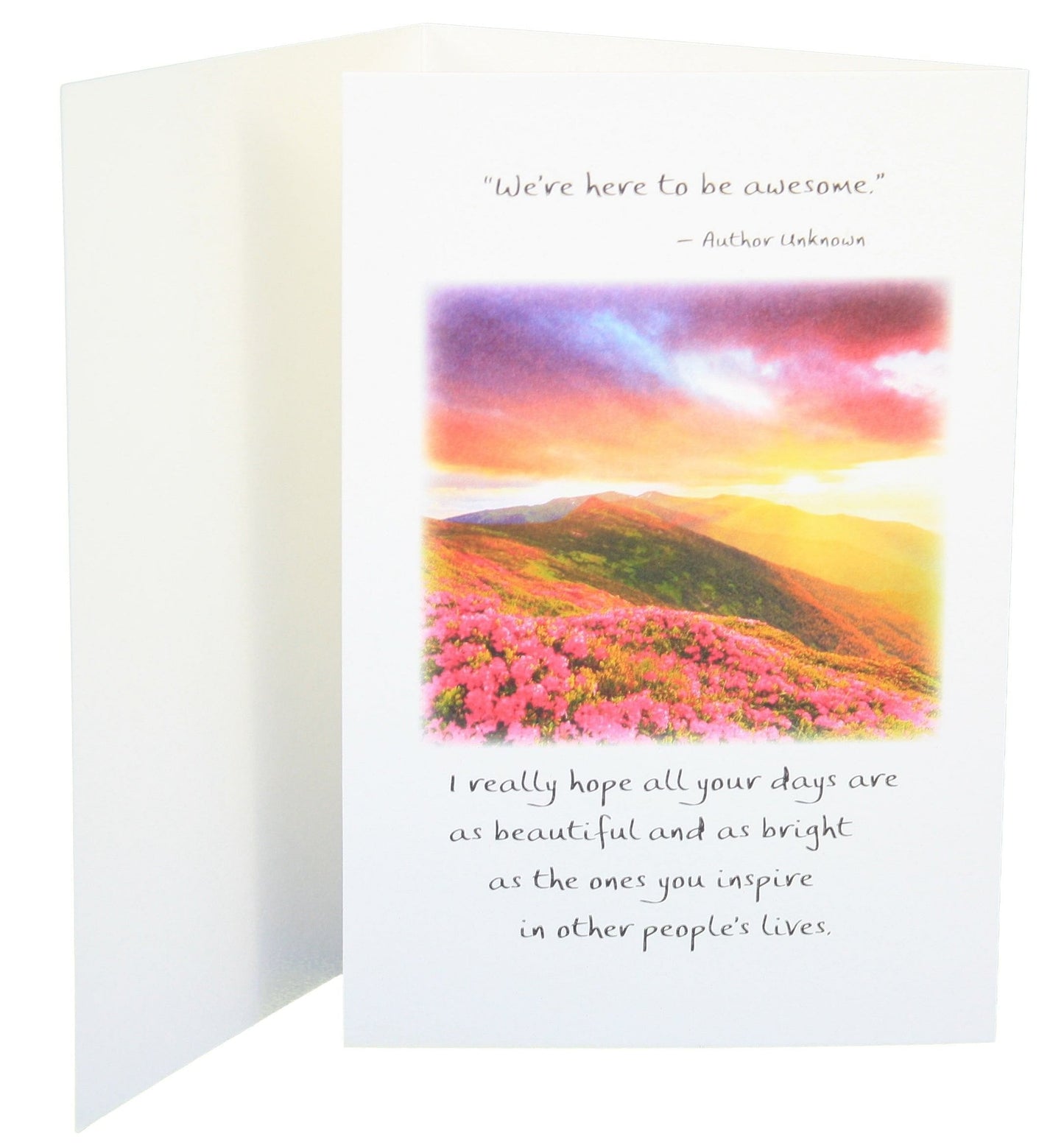 You are One Amazing Lady - Shelburne Country Store