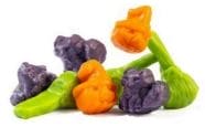 Spooktacular Gummi Mix - Shelburne Country Store