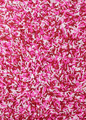 Love Sprinkles - 4oz - Shelburne Country Store