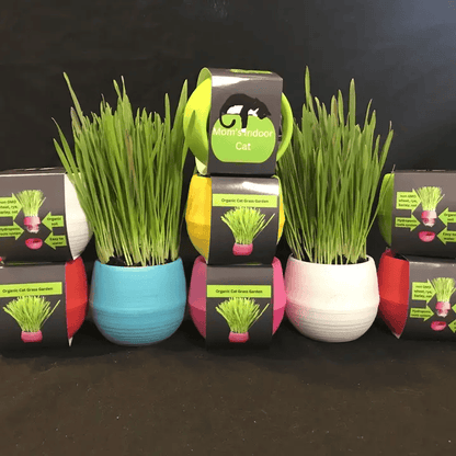 Cat Grass Garden Balls - Shelburne Country Store