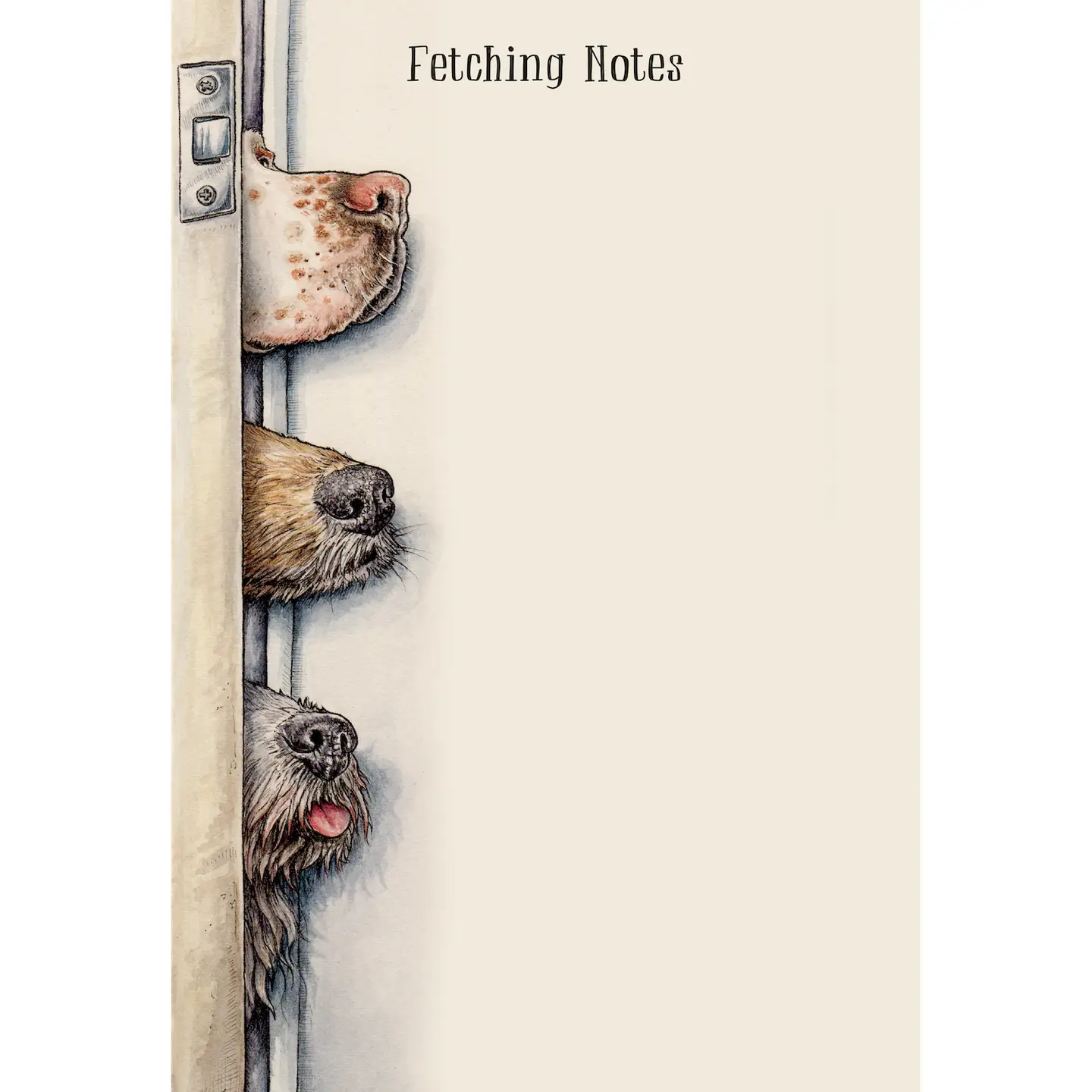 Hester & Cook - - Shelburne Country Store