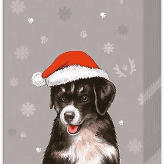 Pocket Tissues Pack of 10 I Wuff You Christmas - Shelburne Country Store