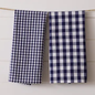 Blue Check Dishtowels S/2