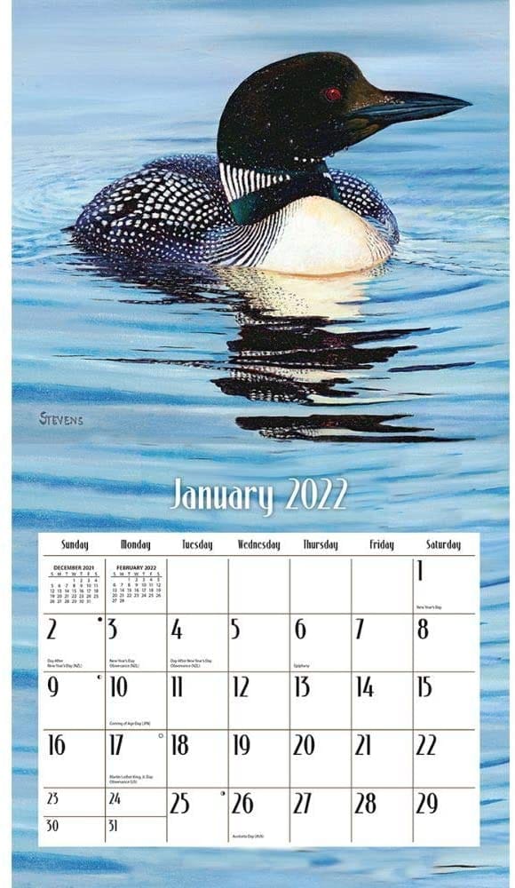 2022  Loons on the Lake   Wall Calendar - Shelburne Country Store