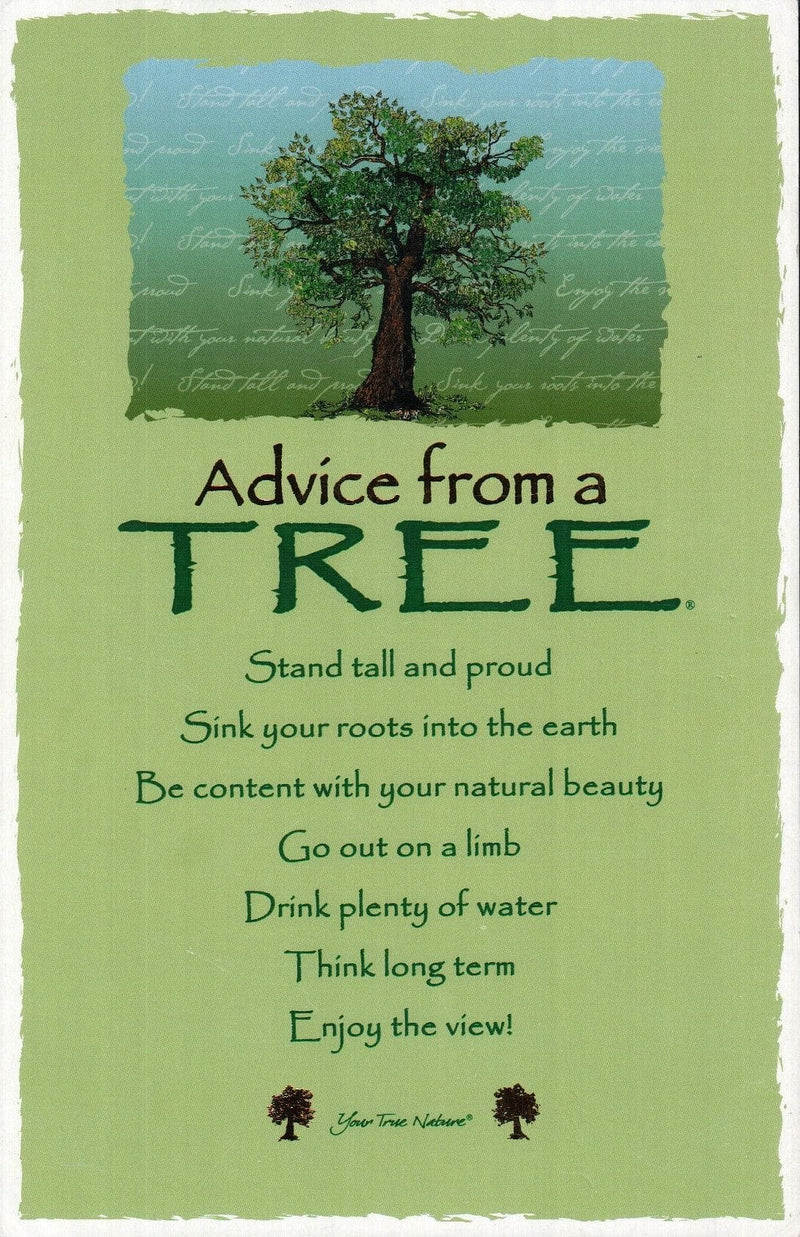 Oversize Postcard - Advice from a Tree - Shelburne Country Store