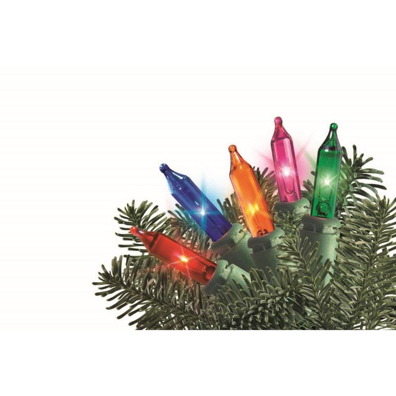 6-ft X 4-ft Multicolor Incandescent Mini Net Lights - Shelburne Country Store