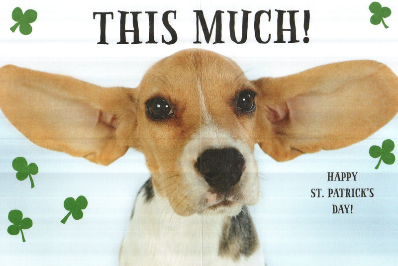 Beagle puppy I Love You St.Patricks Day Greeting Card - Shelburne Country Store