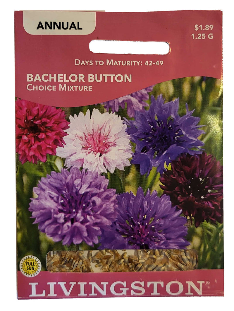 Seed Packet - Bachelor Button - Choice Mixture - Shelburne Country Store