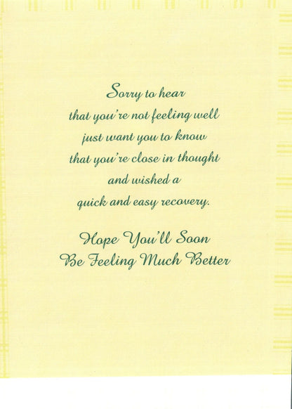 Get Well Card - Quick And Easy Recovery - Shelburne Country Store