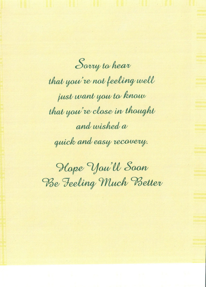 Get Well Card - Quick And Easy Recovery - Shelburne Country Store