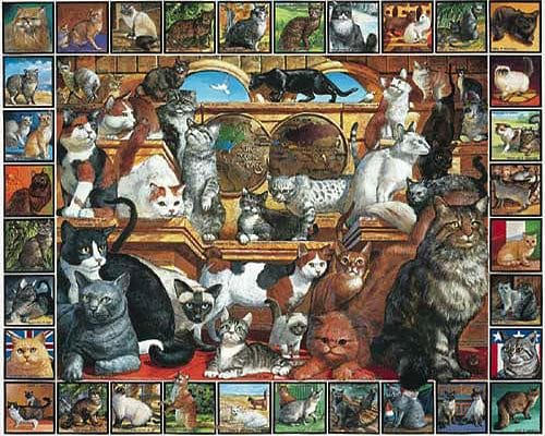 World Of Cats Puzzle - Shelburne Country Store