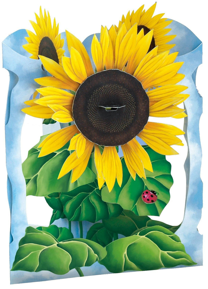 Sunflower - Swing Card - Shelburne Country Store