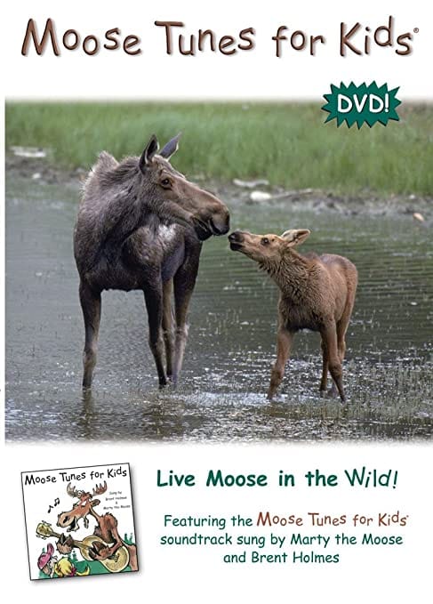 Moose Tunes for Kids CD - Shelburne Country Store