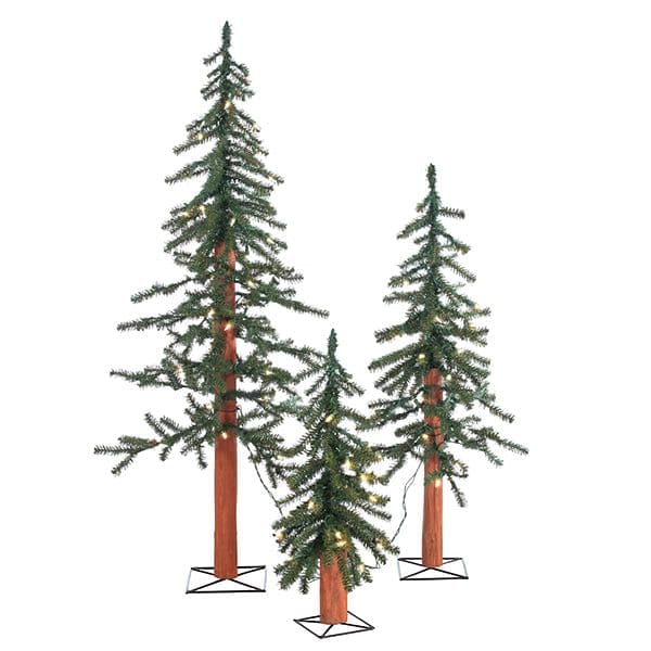 Set of 3 Pre-Lit Alpine Trees - Shelburne Country Store