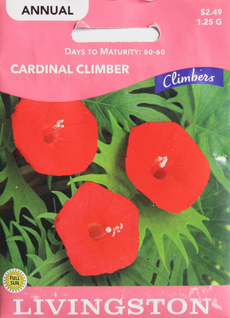 Seed Packet - Cardinal Climber - Shelburne Country Store