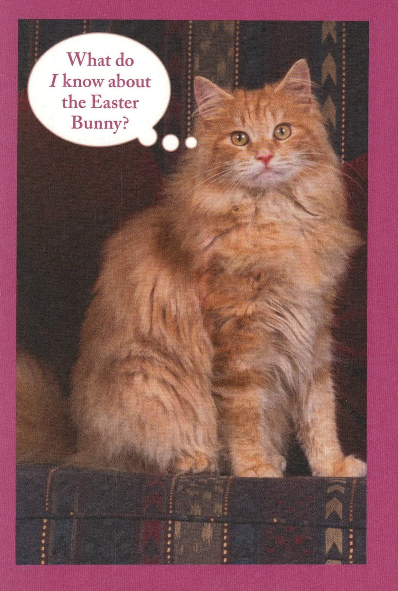 What Do I Know About The Easter Bunny Card - Shelburne Country Store