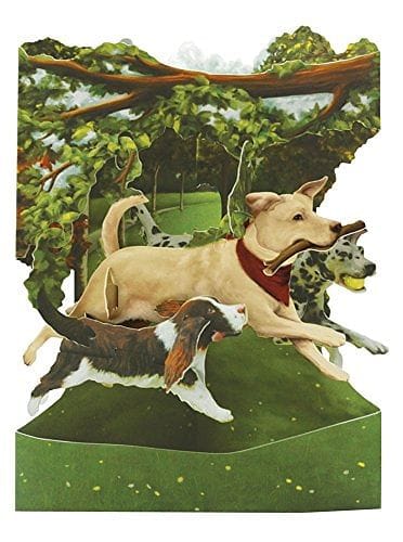 Dogs In The Park - Swing Card - Shelburne Country Store