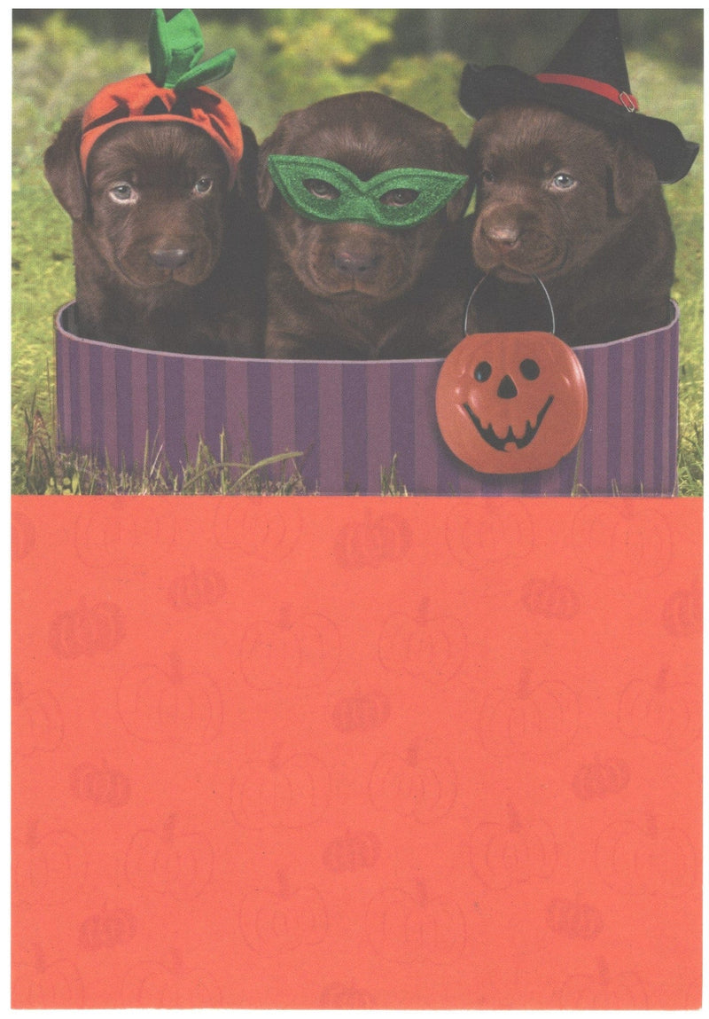 Chocolate Labs Halloween Card - Shelburne Country Store
