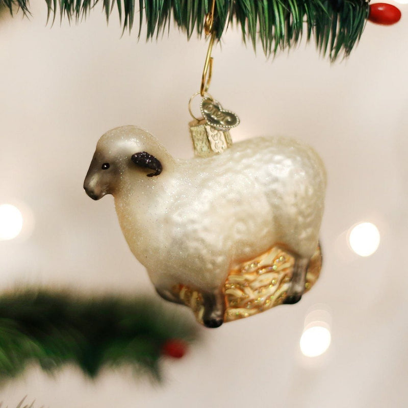Old World Christmas Sheep Glass Ornament - Shelburne Country Store