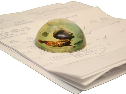 Magic Rail Twirler - Shelburne Country Store