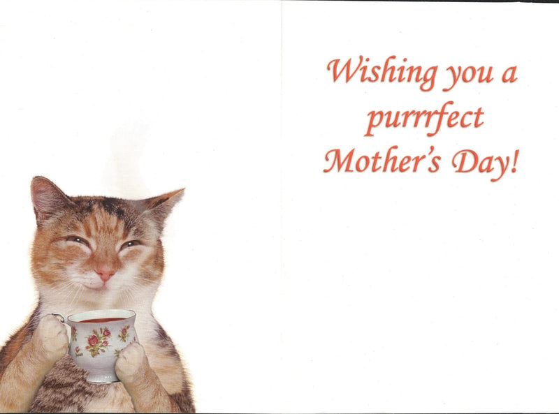 Purrfect Mothers Day Card - Shelburne Country Store