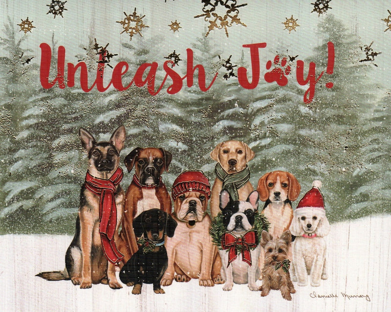 Unleash Joy Boxed Cards - Shelburne Country Store