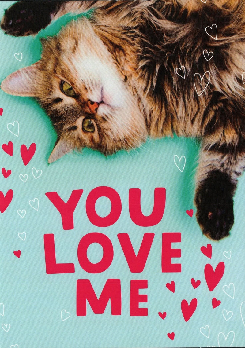 You Love Me Valentine's Day Greeting card - Shelburne Country Store