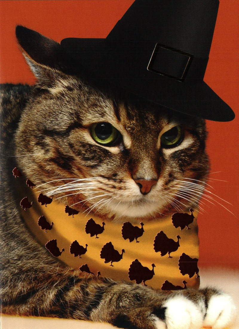 Pilgrim Rodeo Cat Card - Thanksgiving - Shelburne Country Store