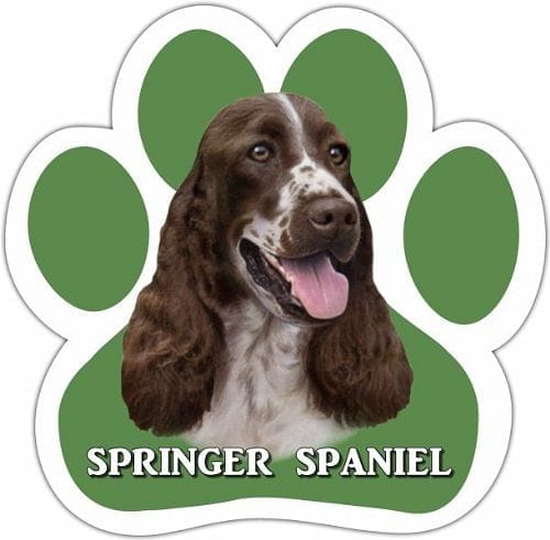 Springer Spaniel Car Magnet With Unique Paw Shape - Shelburne Country Store